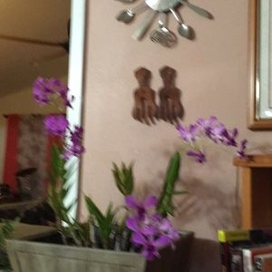 Meet your Posher, Connie